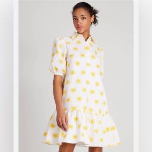 Kate Spade Suns Lake Puff Sleeve Cream Dress Sz S Printed Seersucker W/ Pockets